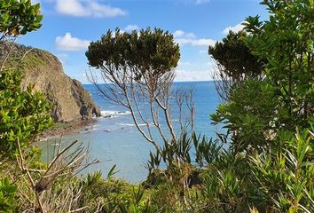 Parcela en  Los Muermos, Llanquihue