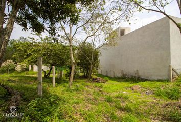 Lote de Terreno en  El Lencero, Municipio De Emiliano Zapata (veracruz)