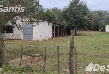 Terrenos en  Alem, Mar Del Plata