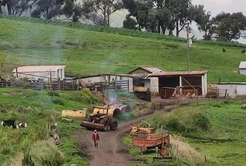 Hacienda-Quinta en  Pungala, Riobamba, Ecu