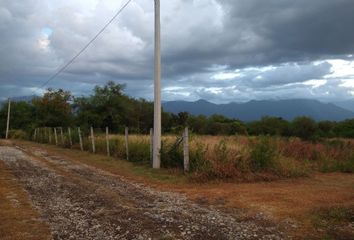 Lote de Terreno en  Montemorelos Centro, Montemorelos