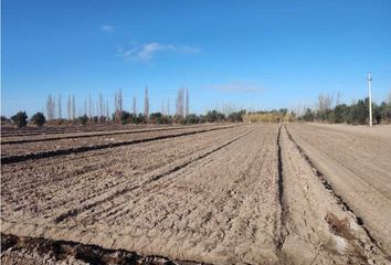 Quinta/Finca en  Rivadavia, Mendoza