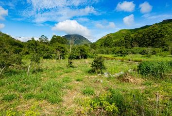 Terreno Comercial en  Vilcabamba (victoria), Loja