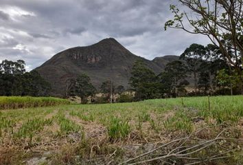 Terreno Comercial en  Qpjq+gpq, Malacatos, Ecuador