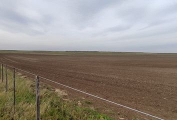 Casa en  Coronel Dorrego, Partido De Coronel Dorrego