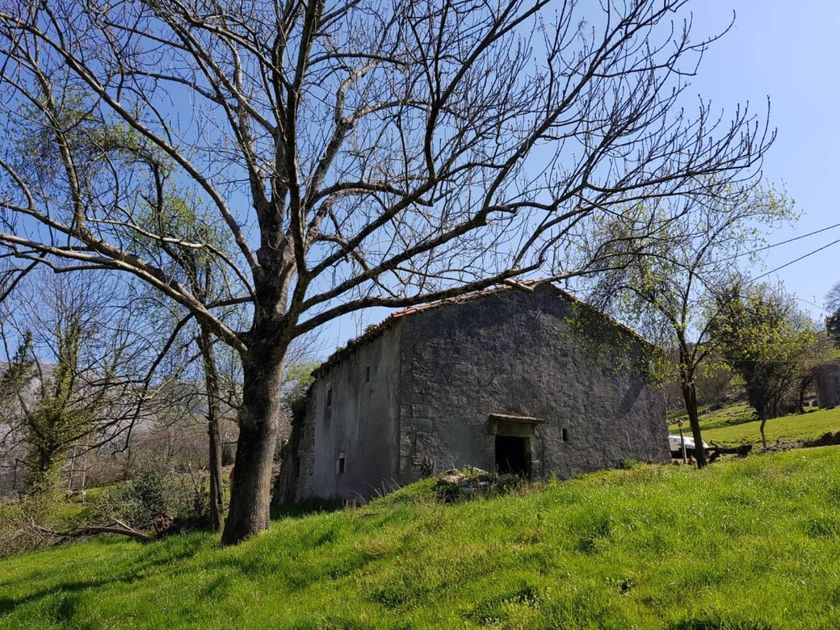 venta Terreno en Valle de Ruesga, Cantabria (102853)- Globaliza