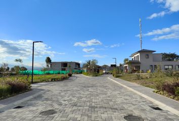 Terreno Comercial en  Puembo, Quito