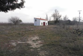Terreno en  Fuente El Saz De Jarama, Madrid Provincia