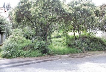 Lote de Terreno en  Bosques De Las Lomas, Miguel Hidalgo, Cdmx