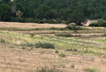 Lote de Terreno en  Ejidal, Arteaga, Arteaga, Coahuila