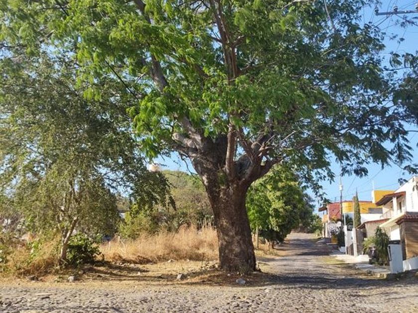 venta Lote de Terreno en Rancho o rancheria Cofradía de Suchitlán, Comala  (pwYmisT_SALE)