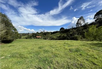 Lote de Terreno en  Rionegro Antioquía