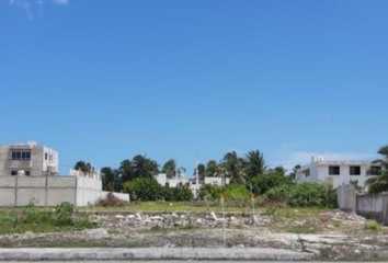 Lote de Terreno en  Chicxulub Puerto, Progreso, Z - Progreso, Yucatán