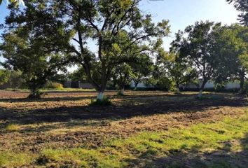 Lote de Terreno en  Torreón Centro, Torreón