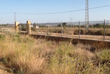 Terreno en  Novelda, Alicante Provincia