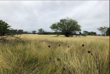 Lote de Terreno en  Montemorelos Centro, Montemorelos