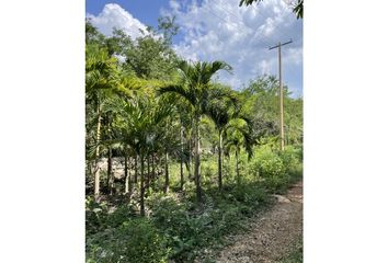 Casa en  Timucuy, Yucatán