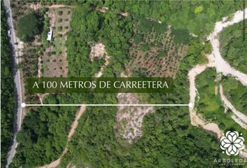 Lote de Terreno en  Calle Océano Pacífico, Las Flores, San Pedro Mixtepec - Distr 22 -, Oaxaca, 71985, Mex