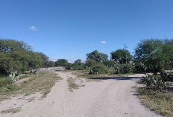 Lote de Terreno en  El Terremoto, San Luis Potosí