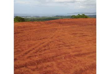 Lotes y Terrenos en  Pedasí