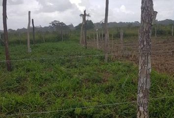 Lote de Terreno en  Tulum, Tulum