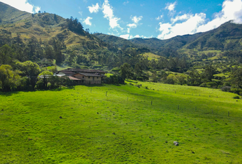 Bodega-Galpon en  Gonzanamá