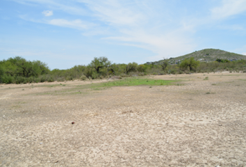 Lote de Terreno en  Ejido San José De Turrubiartes, Cerritos, San Luis Potosí, Mex