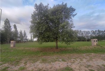 Terrenos en  Los Juncos, Partido De Luján