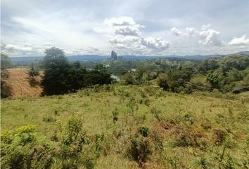 Lote de Terreno en  Marinilla, Antioquia