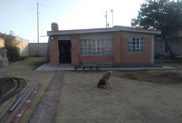Casa en  Benito Juárez, Tepeapulco