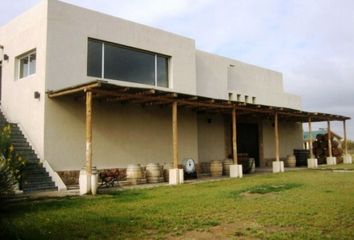 Galpónes/Bodegas en  Tupungato, Mendoza