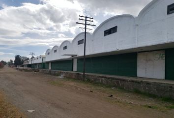 Nave en  Ejido Santa Cruz Azcapotzaltongo, Toluca