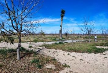 Lote de Terreno en  Barrio Macuyu, Parras