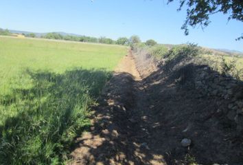 Terreno en  Ciudad Rodrigo, Salamanca Provincia