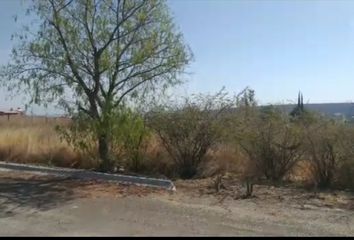 Lote de Terreno en  Rancho O Rancheria Salto De León, Coroneo