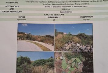 Lote de Terreno en  León De Los Aldama