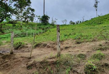 Terreno Comercial en  Av. Esmeraldas 115, Santo Domingo, Ecuador