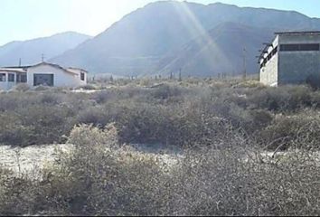 Lote de Terreno en  Murgia, Ensenada