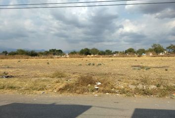 Lote de Terreno en  Tetelcingo, Cuautla, Morelos
