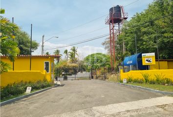 Lotes y Terrenos en  Alto De La Mesa, Antón