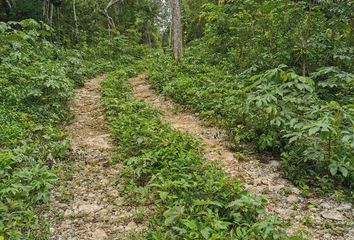 Lote de Terreno en  Coba, Tulum