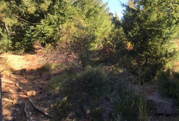 Terrenos en  San Carlos De Bariloche, San Carlos De Bariloche