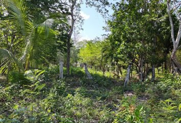 Lote de Terreno en  Bacalar, Bacalar, Bacalar, Quintana Roo