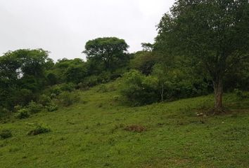 Terrenos en  La Hoyada, Castellanos