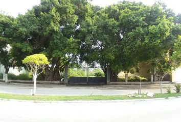 Lote de Terreno en  Calle 50, Miami, Carmen, Campeche, 24115, Mex