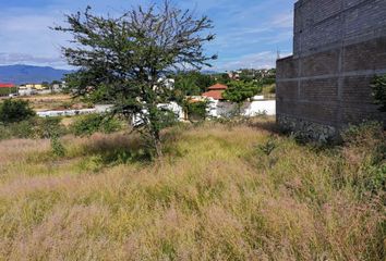 Lote de Terreno en  Emiliano Zapata 34-35, San Raymundo Jalpan, Oaxaca, 71280, Mex