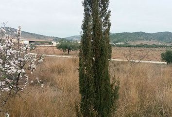 Terreno en  Cañada De La Lena, Murcia Provincia