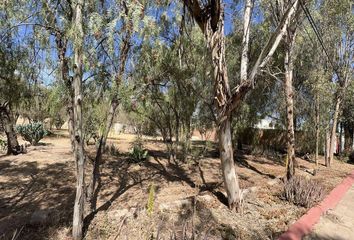 Lote de Terreno en  San Luis Potosí Centro, San Luis Potosí