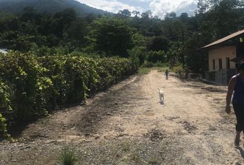 Casa en  La Banda De Shilcayo, San Martin