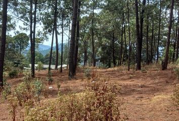 Lote de Terreno en  Valle De Bravo, México, Mex